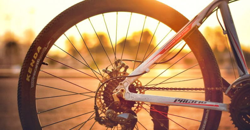 Travel Gear - White Mountain Bike