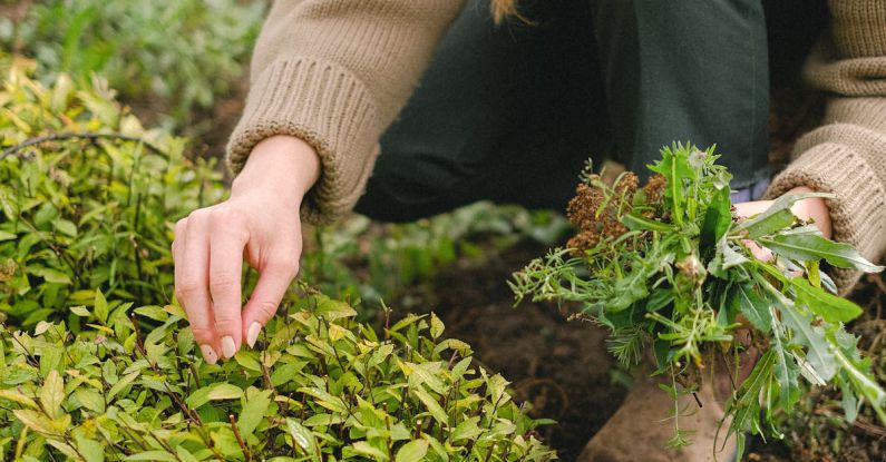 Garden Maintenance - Crop woman collecting seedling from bush